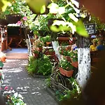 Carul Cu Flori
